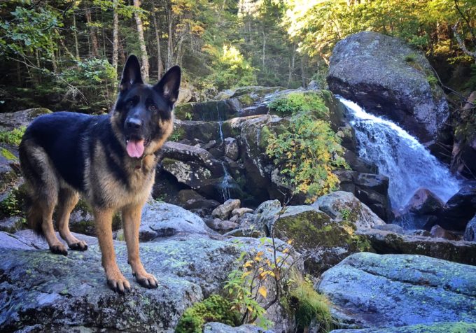 Cascades abound right along the path